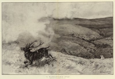 A Warrantable Stag by Robert Walker Macbeth